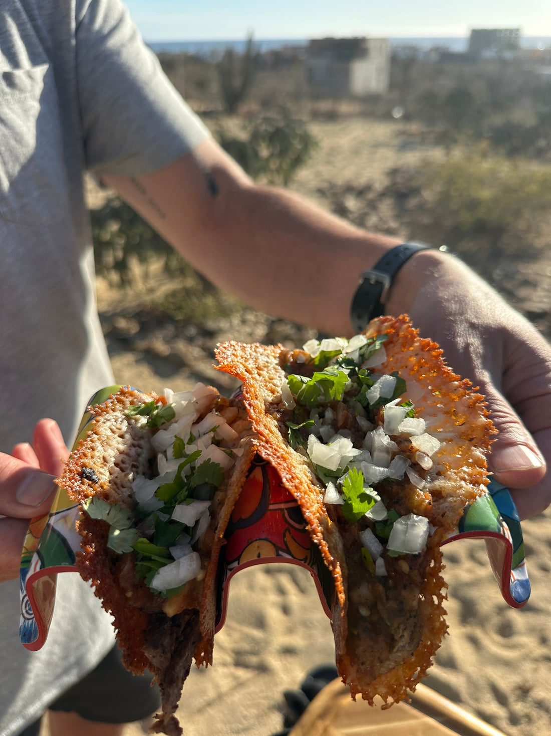 Queso Carne Asada Tacos