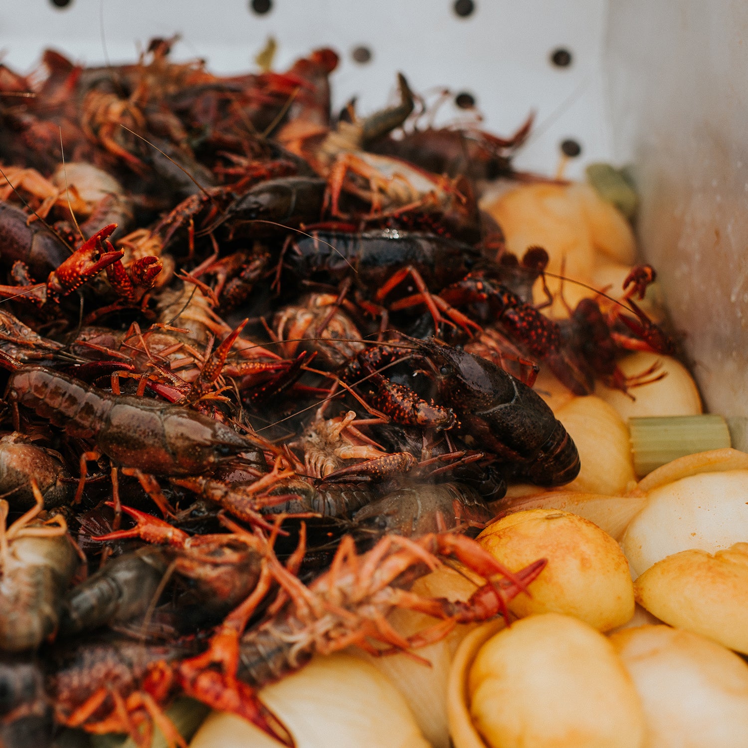 Loco Crawfish Cookers 53 - zky0mt1